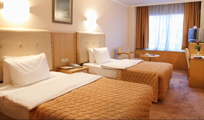 En fazla 3 yetişkin.