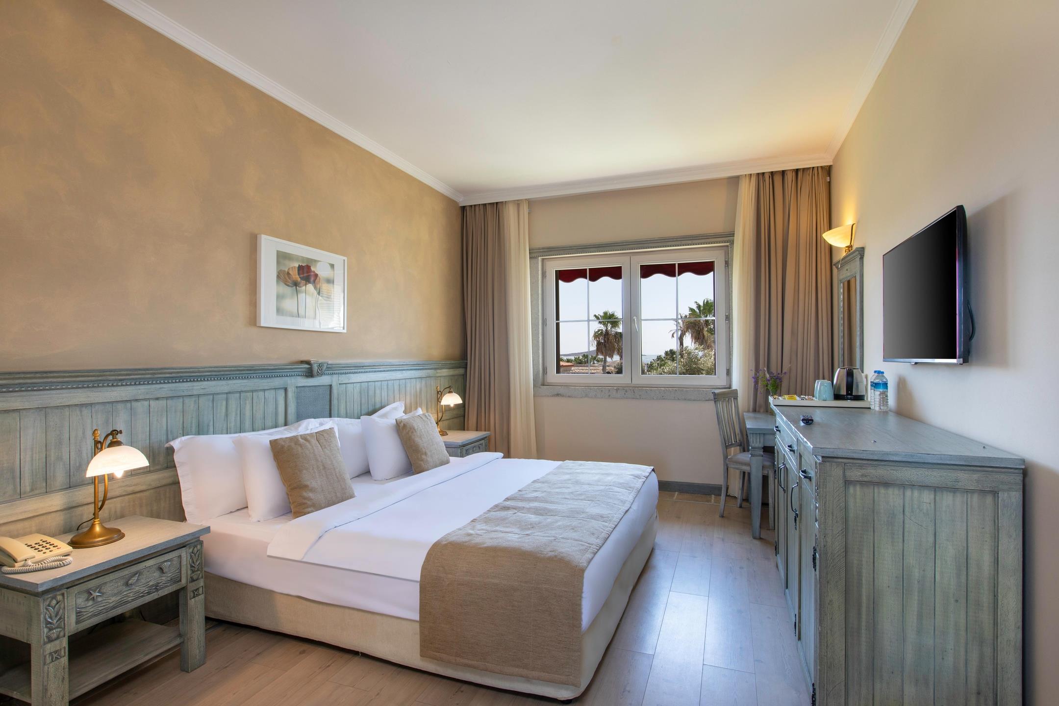 Deluxe Room Without Balcony