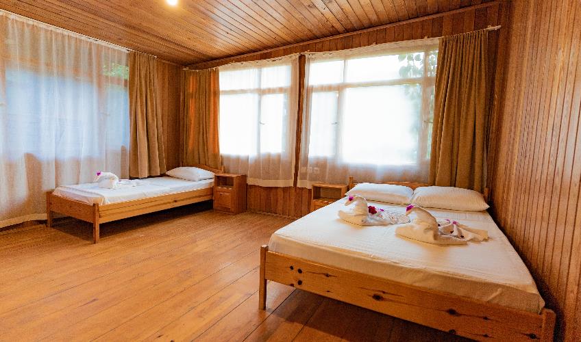 En fazla 3 yetişkin.