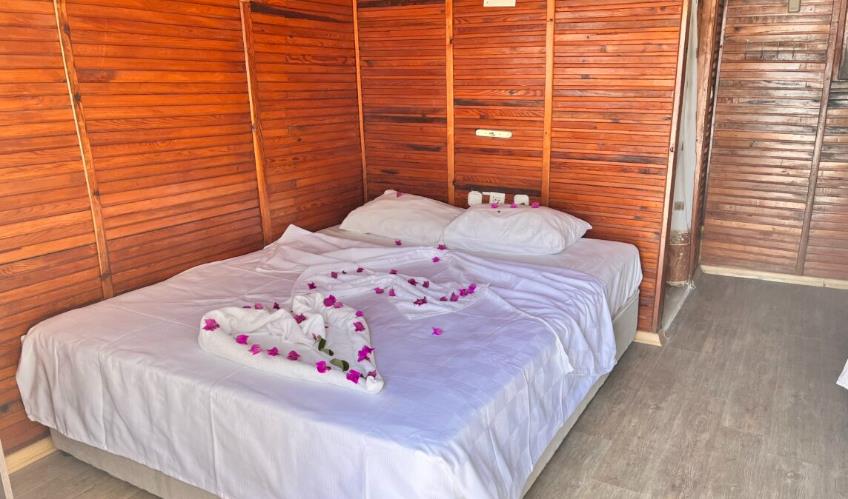 En fazla 2 yetişkin.