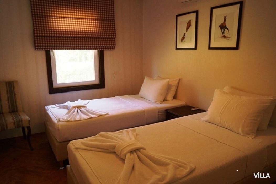 En fazla 4 yetişkin.