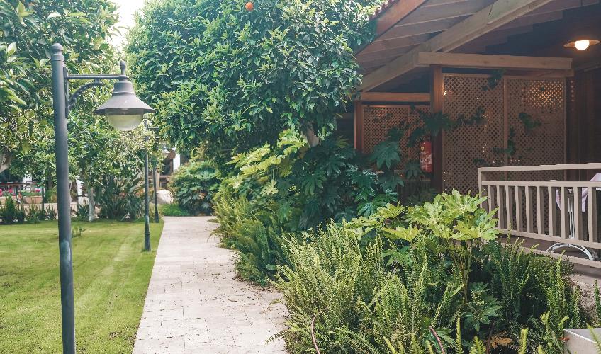 En fazla 2 yetişkin.