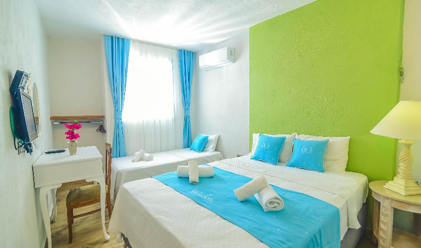 En fazla 3 yetişkin.