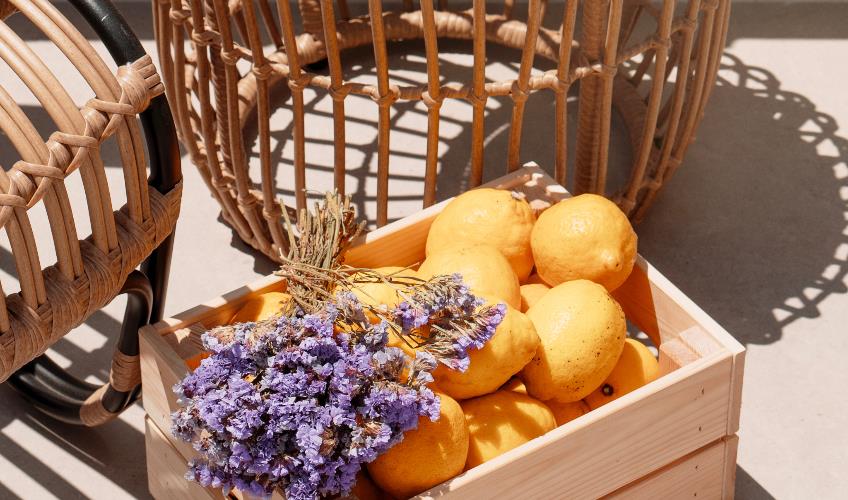 En fazla 2 yetişkin.