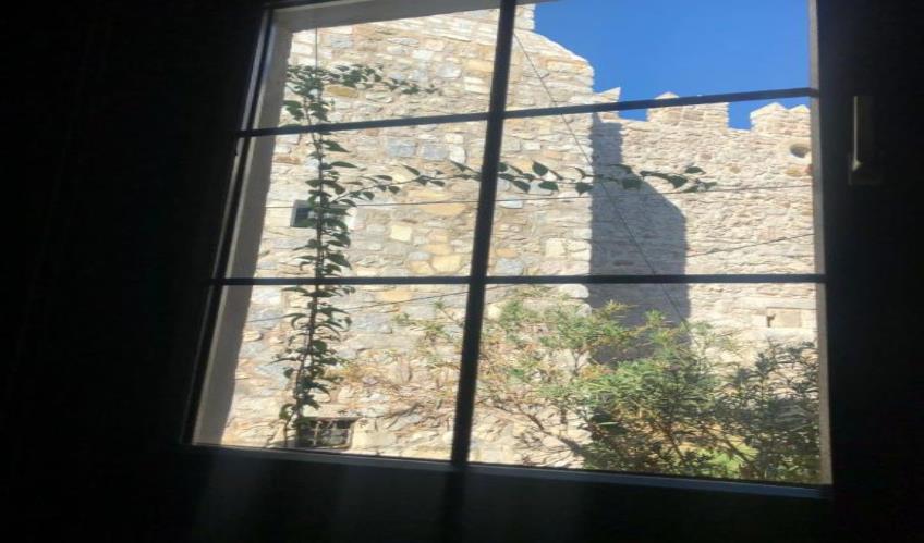 En fazla 2 yetişkin.