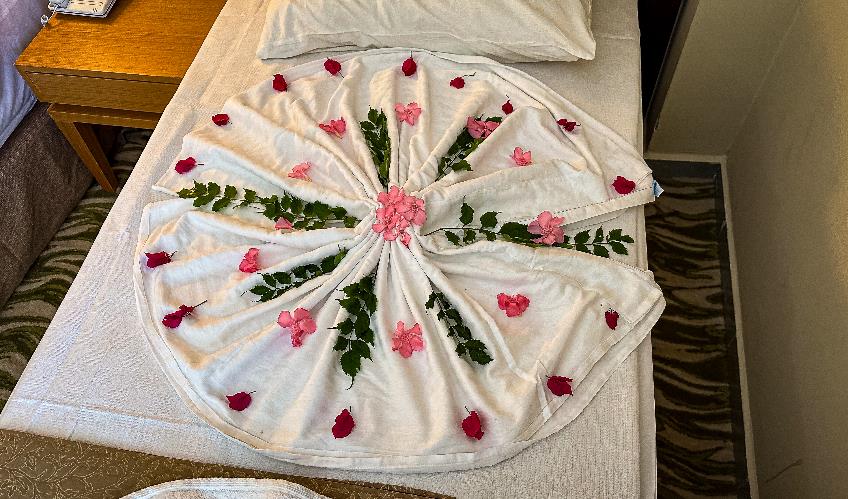 En fazla 2 yetişkin.