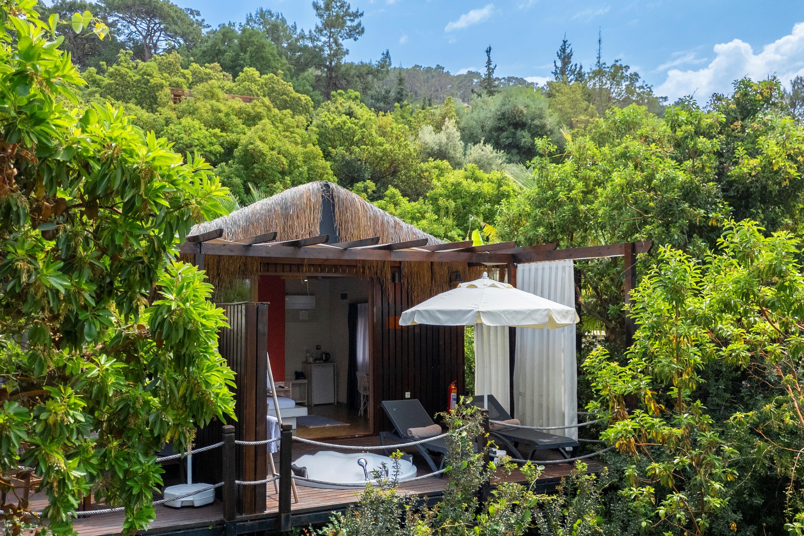 En fazla 2 yetişkin.