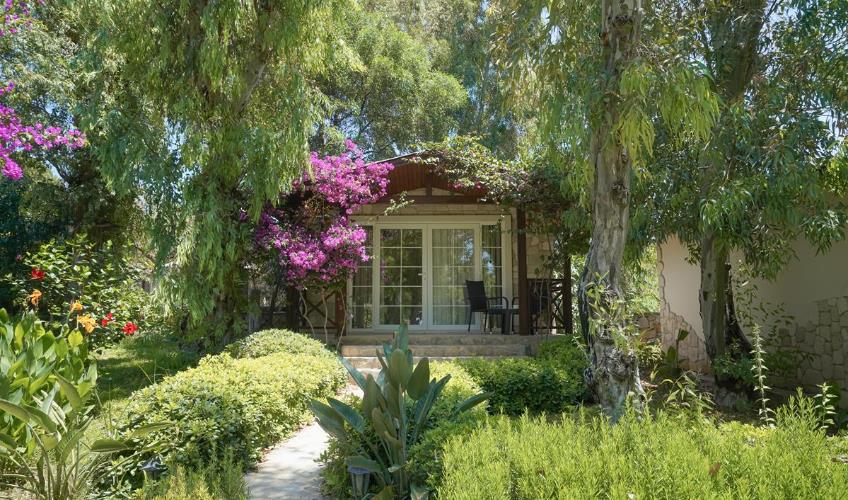 En fazla 3 yetişkin.