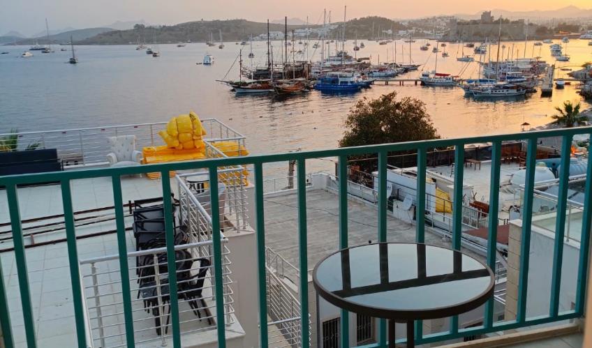 En fazla 2 yetişkin.