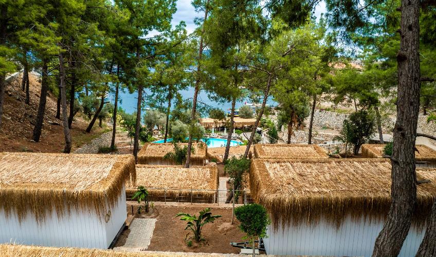 En fazla 2 yetişkin.