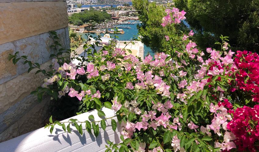 En fazla 2 yetişkin.