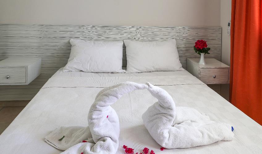 En fazla 4 yetişkin.