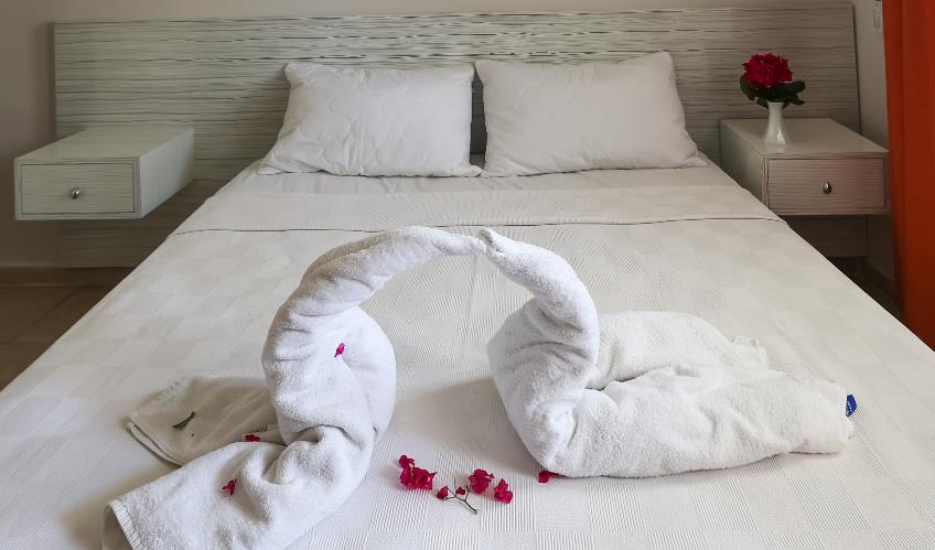 En fazla 4 yetişkin.