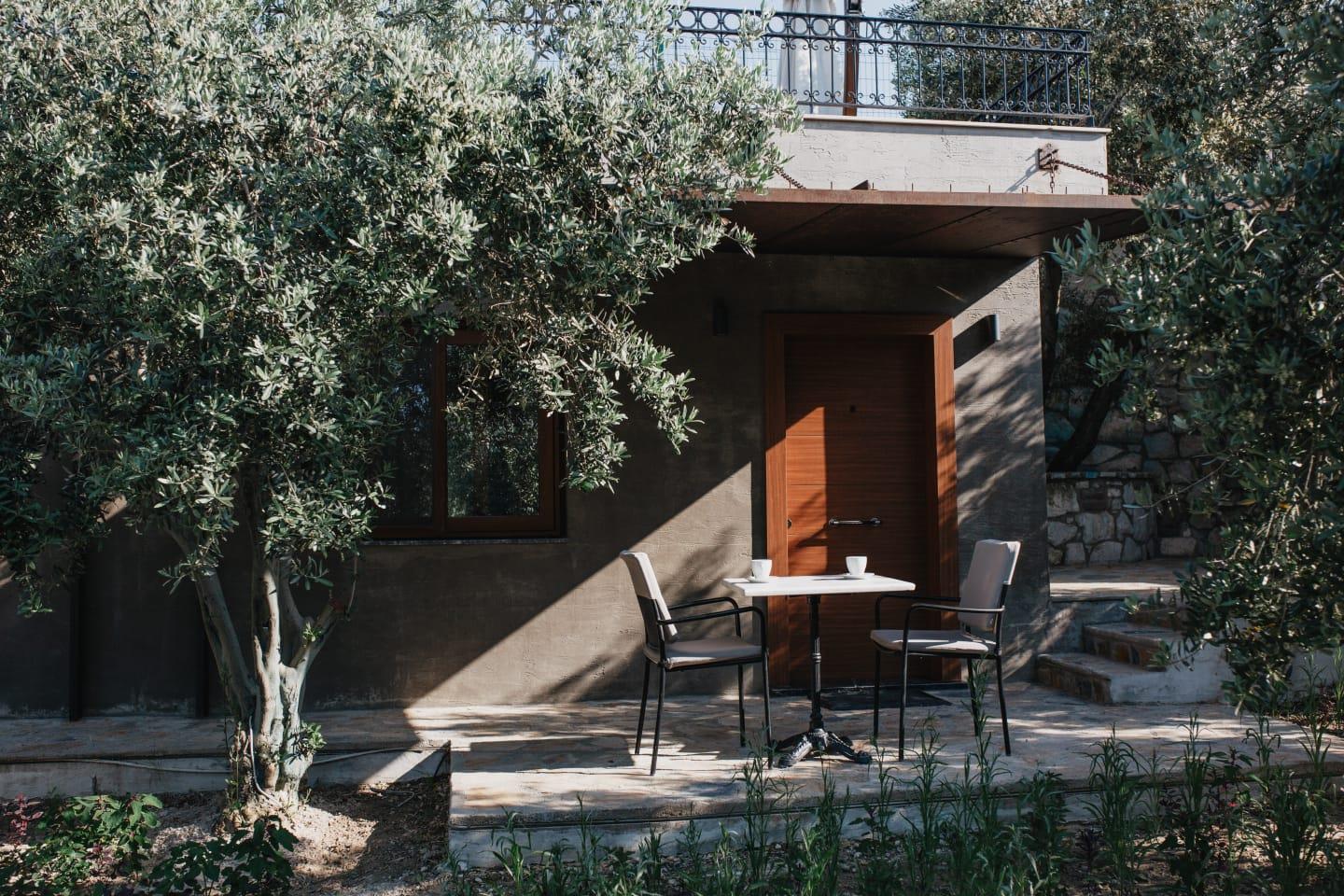 En fazla 2 yetişkin.