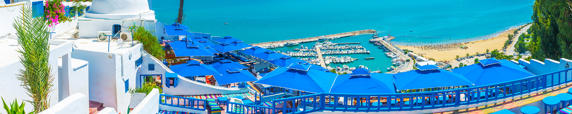 Tunus Şehir Rehberi Tunus Şehir Rehberi