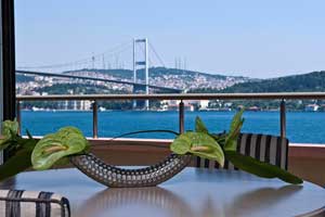 Radisson Sas Bosphorus Hotel