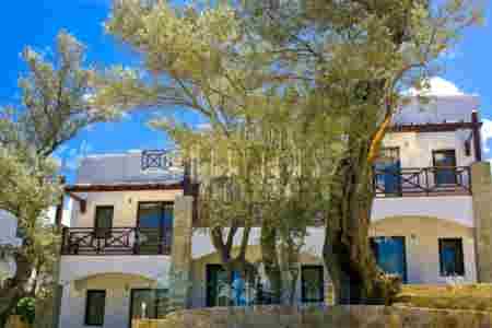 Le Jardin D` Olivers