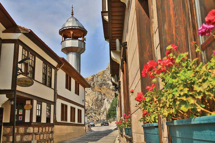 Emin Efendi Konakları