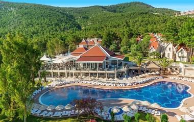 The Roxy Luxury Nature