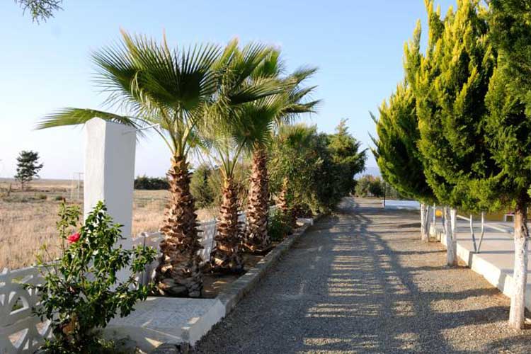 Koru Beach Club Hotel