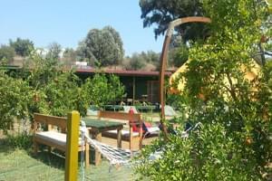 Yeni Adet Sun Dalyan Organik Hotel