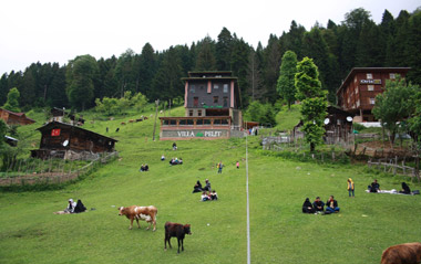 Ayder Villa De Pelit