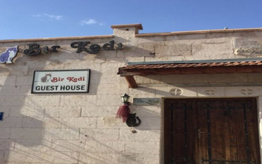 Bir Kedi Villa