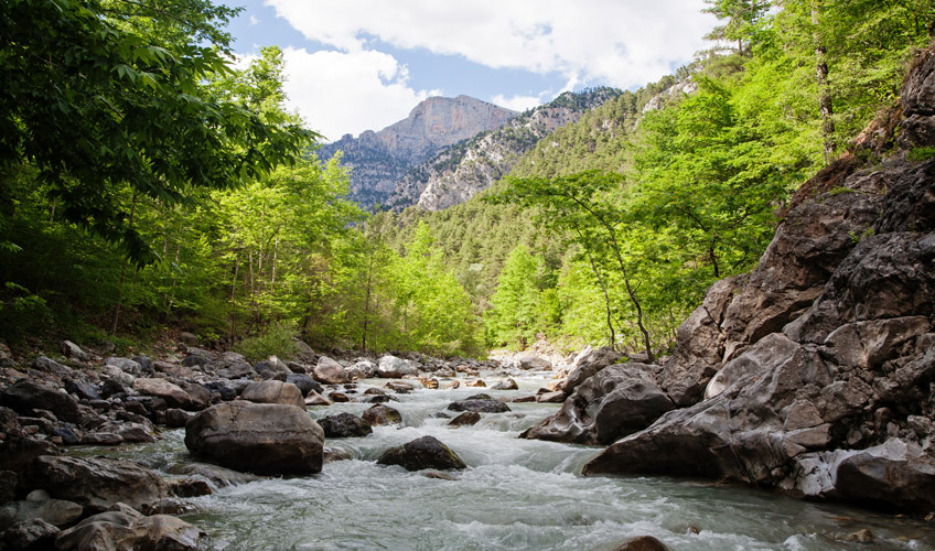 Ankara Çıkışlı Adana Portakal Çiçeği Festivali Turu-6