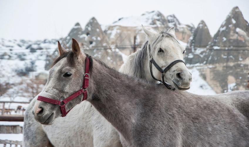 İzmir Çıkışlı Kapadokya Turu-13