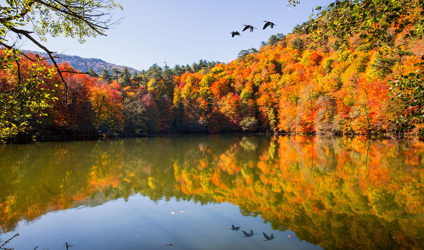 Günübirlik Yedigöller Turu-6