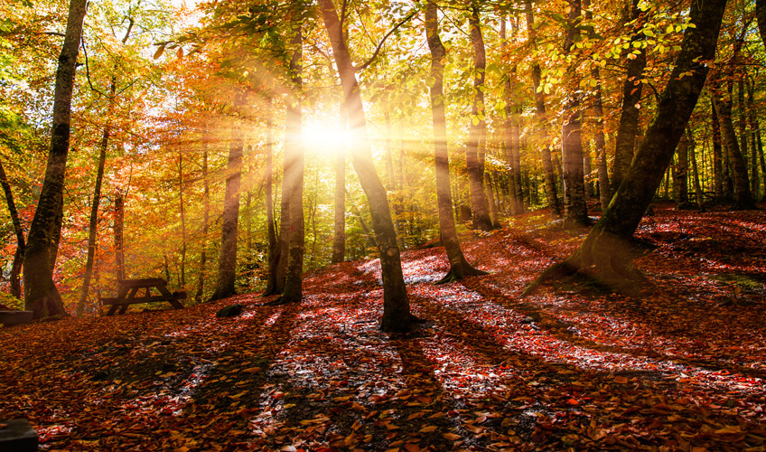 Günübirlik Yedigöller Turu-9