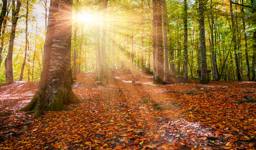 Günübirlik Yedigöller Turu-10