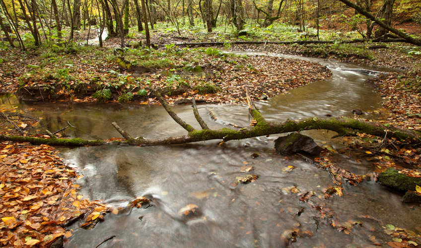 Günübirlik Yedigöller Turu-11