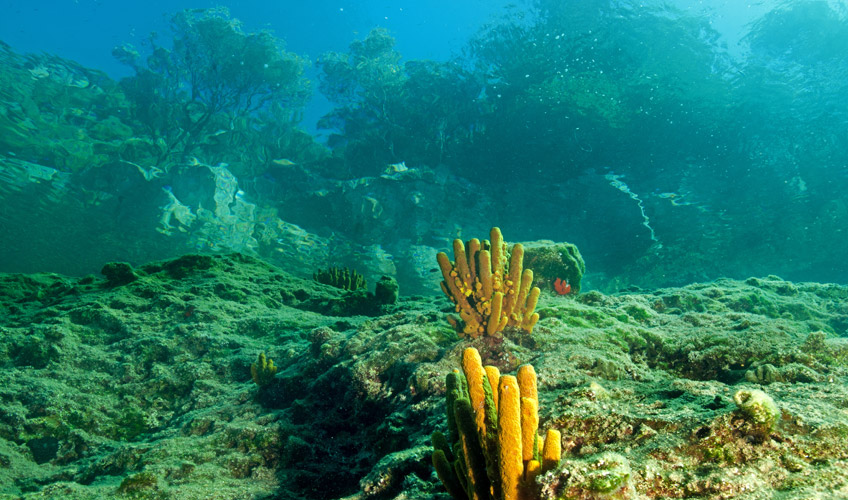 Marmaris - Datça - Akyaka Turu-13