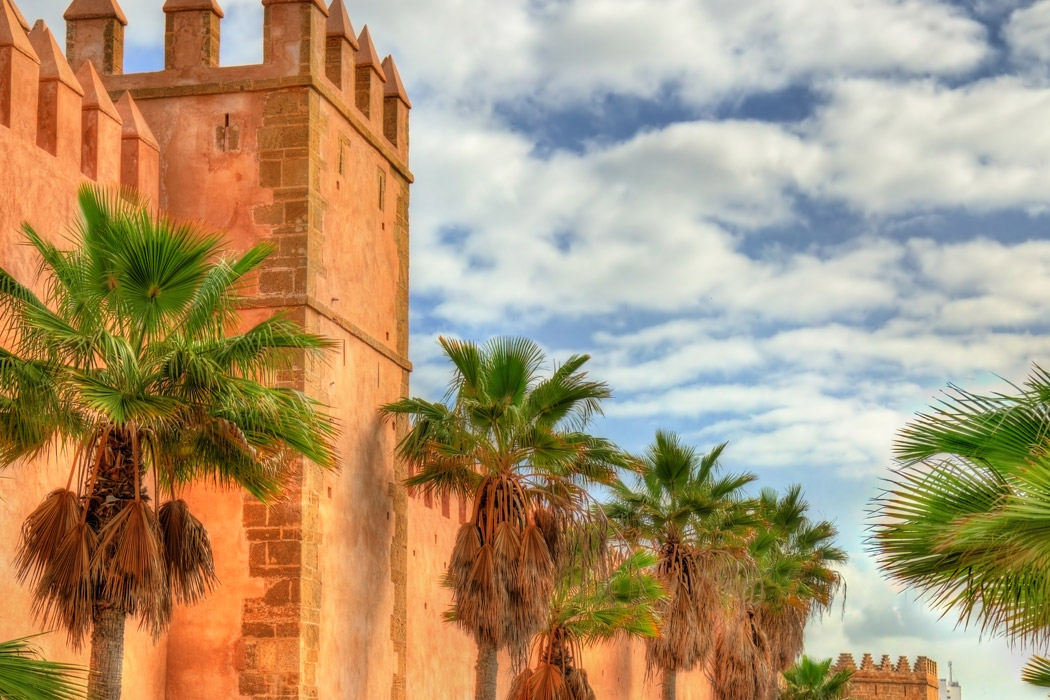 Fas Kraliyet Şehirleri Turu - Tüm Akşam Yemekleri Dahil	-9