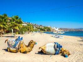 Trabzon Çıkışlı Ege - Akdeniz Turu 21 Haziran - 27 Haziran 2026