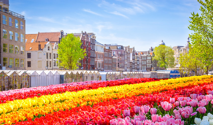 Amsterdam Turu-2