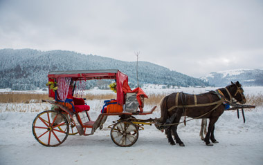 Kartepe - Abant Ve Düzce Şelaleler Turu-7