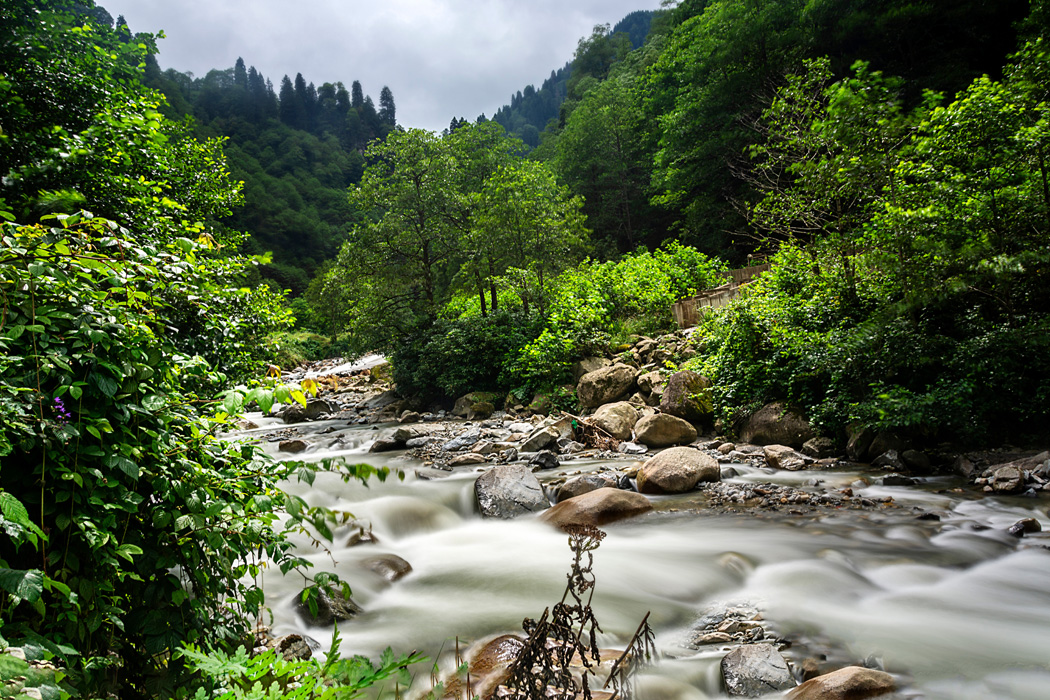 Yılbaşı Özel İzmit Çıkışlı Karadeniz Ve Yaylalar Turu-2