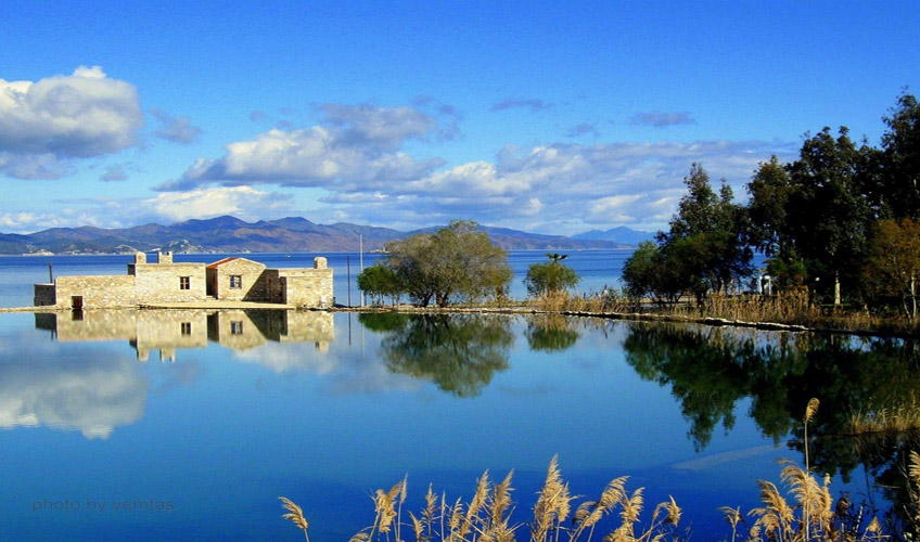 Datça Badem Çiçeği Festivali Turu-6