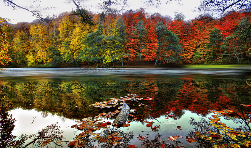 İzmir Çıkışlı Batı Karadeniz - Yedigöller - Ormanya Turu-11