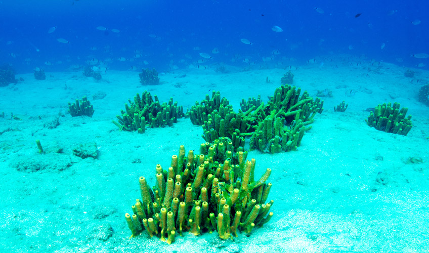 Ankara Çıkışlı Fethiye - Gökova - Dalyan - Kekova Turu-11
