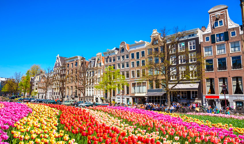 Ara Tatil Dönemi Özel Elit Amsterdam Turu Ekstra Turlar Dahil!-4 Ara Tatil Dönemi Özel Elit Amsterdam Turu Ekstra Turlar Dahil!-4