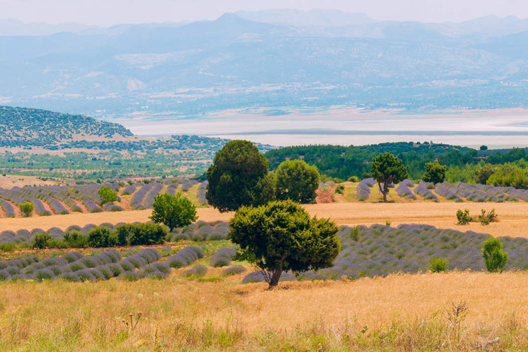 Isparta Gül Hasadı - Salda Gölü Ve Pamukkale - Çeşme - Alaçatı Turu-9