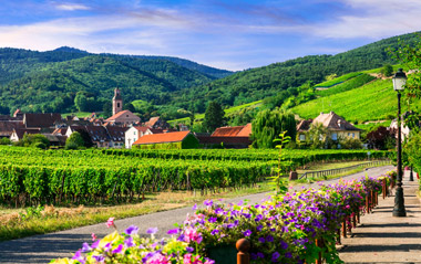 Alsace Noel Pazarları Turu 09 Aralık - 13 Aralık 2025