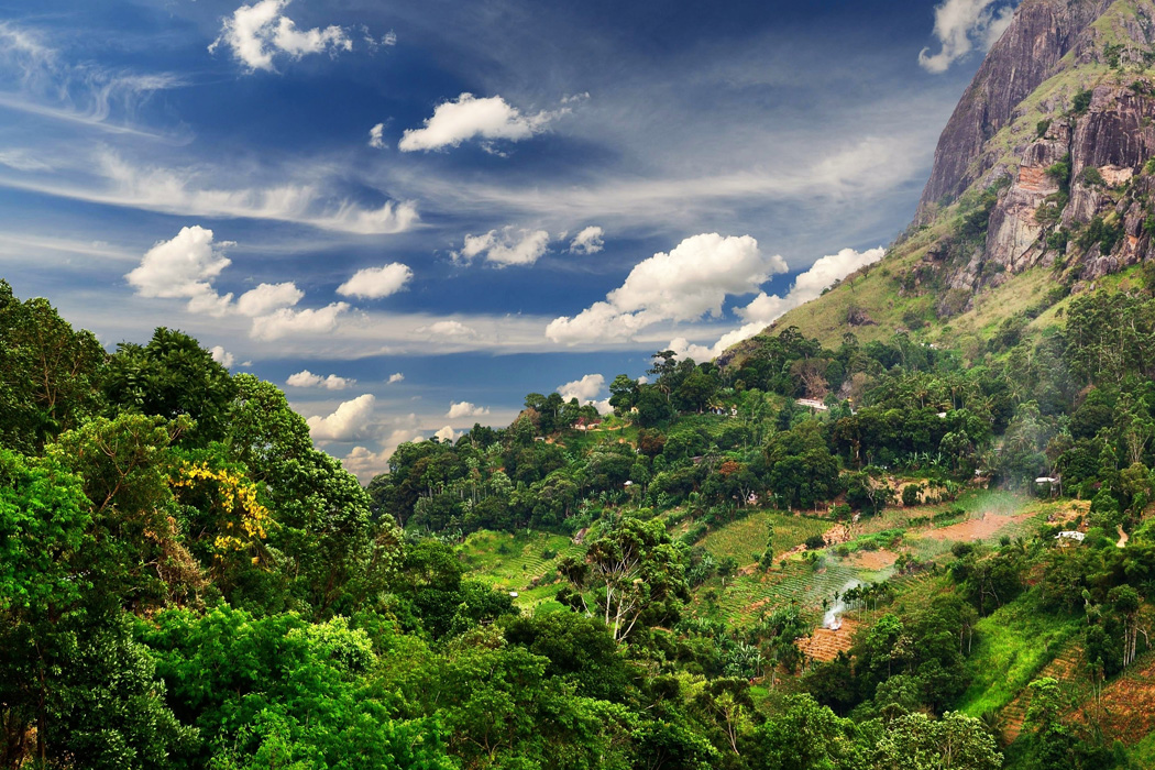 Sri Lanka Turu-2