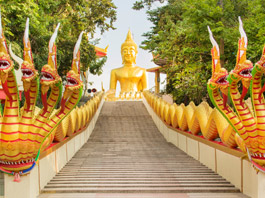 Pattaya Turu 02 Aralık - 11 Aralık 2025