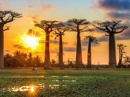 Madagaskar - Mauritius Turu 14 Mart - 25 Mart 2026