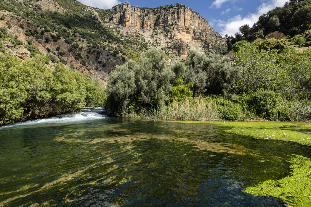 Görkemli Fas Krallığı Ve Mistik Şehirler Turu - Tüm Turlar Ve Akşam Yemekleri Dahil !!-15 Görkemli Fas Krallığı Ve Mistik Şehirler Turu - Tüm Turlar Ve Akşam Yemekleri Dahil !!-15