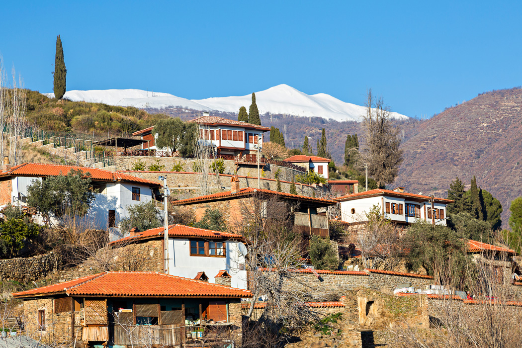 İzmir - Alaçatı - Sığacık - Foça - Efes Turu-10
